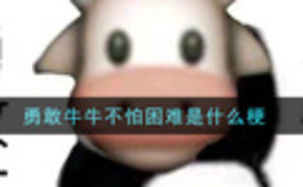 勇敢牛牛不怕困难什么梗